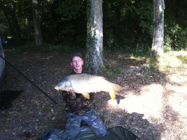 commune 12 kilos.jpg